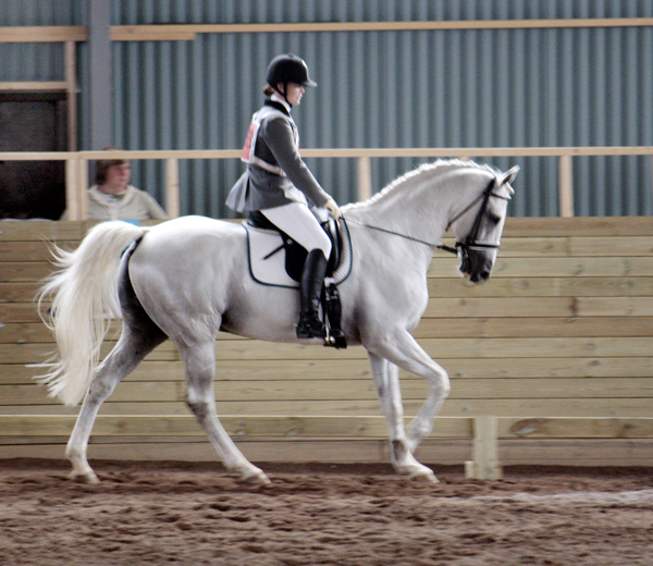 Fälttävlan i Mantorp, 15–16 augusti 2009: Alicia Holmén och Business x (e. Stubin x) blev 2:a i 90-fälttävlan, samt segrade i kompislag tillsammans med Johan Lundin/Johnny Cash (e. Business x). Foto: Anki Lundberg.