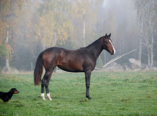 Carissa e. Cartier u. anglostoet Ronja