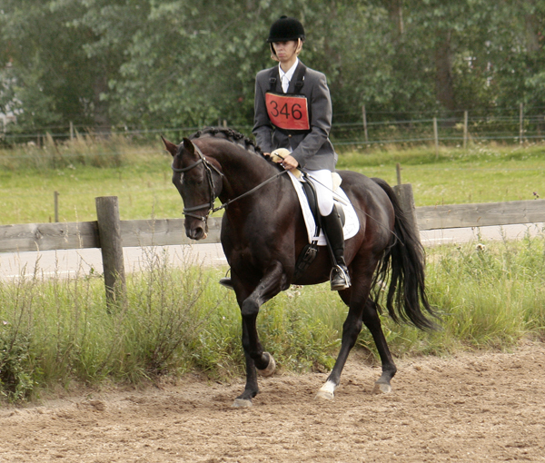 Mateusz Dziurla och Kenyatta xx, mörkbrun hingst född 1993, (e.Lucastown GB – ue. Harambee II) startade i 90-fälttävlan i Mantorp 15–16 augusti 2009. 47 startande i klassen varav 12 placerade. Mateusz Dziurla, Södertälje RK, på Kenyatta xx kom på 13:e plats. Kenyatta är halvbror med Arns stridshäst Banja Luca x som blev utnämnd till Årets Anglo 2008. Foto: Anki Lundberg.