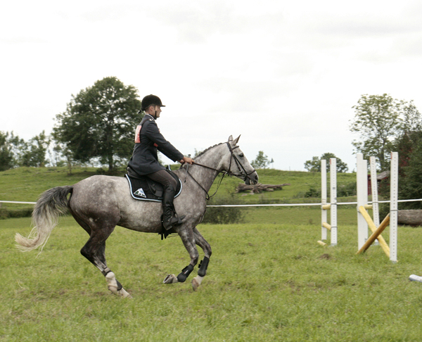Fälttävlan i Mantorp, 15–16 augusti 2009: Kon-Tiki x har den 16 augusti 2009 på 90-fälttävlan i Mantorp med Johan Lundin som ryttare kvalat till Breeders Trophy i fälttävlan på Plönningegymnasiet den 5–6 september 2009. Kon-Tiki x (64,505 % ox), skimmel sto född 2004 (e. Business x – u. Geili ox e. Dworak). Foto: Anki Lundberg.