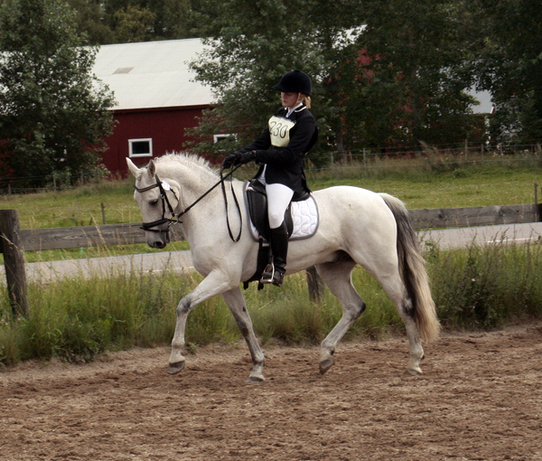 Klara Sundsvik och Mustang. Fälttävlan i Mantorp, 15–16 augusti 2009. Fälttävlan 100: 38 startande, 10 placerade. Resultat: 2:a plats för Klara Sundsvik, Stora Wäsby FRK, och Mustang, svensk ridponny valack född 1994 (e. Eighty Eight Keys xx 821 USA – u. Manette e. Lambay Boy RC 24). Stamboksnr: 43940212, Svensk Ridponny (eng fbl / connemara). Foto: Anki Lundberg.