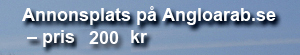 Se antal unika besökare här! Köp annonsplats på Angloarab.se i ett år för 2.000 kr.