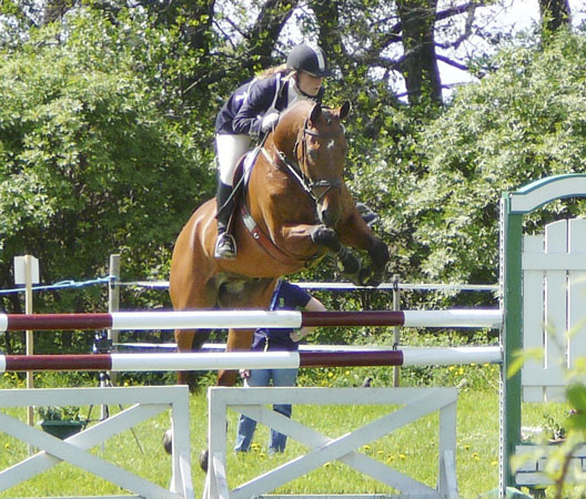 Alexej x, valack brun (e. Koncerz xx – ue. Phaèton x) på Strömsholm 2006. Alexej är tävlad i fälttävlan. Exempel på resultat: 4:e placering på Övedsklosters Internationella fälttävlan 2004 i den 2-stjärniga klassen, CIC**, bland 53 ekipage. Vann Linköpings öpnna 2-stjärniga nationella klass , CNC**, i juni 2004. Foto: Camilla Björklund.