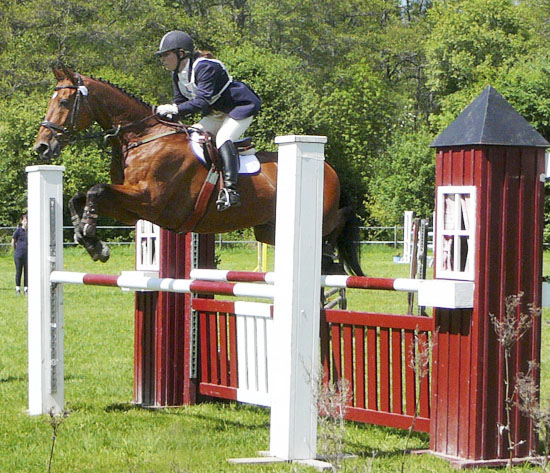 Alexej x, valack brun (e. Koncerz xx – ue. Phaèton x) på Strömsholm 2006. Alexej är tävlad i fälttävlan. Exempel på resultat: 4:e placering på Övedsklosters Internationella fälttävlan 2004 i den 2-stjärniga klassen, CIC**, bland 53 ekipage. Vann Linköpings öpnna 2-stjärniga nationella klass , CNC**, i juni 2004. Foto: Camilla Björklund.