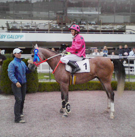 Årets Komet i Ponnygaloppen 2008: Fanny Olsson. Utmärkelsen står Svensk Galopp för. Här ses Amiri Joad ox (e. Elcatero) och Fanny Olsson i vinnarcirkeln på Täby Galopp. Fanny Olsson har även startat i SM i ponnygalopp 2008 med Amiri Joad. Amiri Joad ox, skimmel (född brun) hingst född 2004 (e. Elcatero – u. Kaleema e. Mamluk SU). Uppfödare: Jane Staffansson, Arboga. Ägare: Roger Olsson. Modern Kaleema har Bilbao som morfar, det hade även anglohingsten Stubin (e. Stove Friend xx).