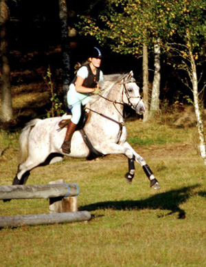 Anitratus x (30,99 % ox), skimmel valack, mkh:163 cm, e. Stubin x – u. Ariane x e. Phaeton x. Uppfödare: Helene Hjälmdah. Carolina Kjellström och Anitratus på träningen för Silvana Stenström på Vedas terrängbana, september 2007. Foto: Tomas Kjellström.