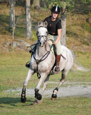 Anitratus x (30,99 % ox), skimmel valack, mkh:163 cm, e. Stubin x – u. Ariane x e. Phaeton x. Ryttare och ägare: Carolina Kjellström, Vallentuna. Uppfödare: Helene Hjälmdahl, Karlskrona. Foto: Tomas Kjellström. Se Anitratus webbsida här.