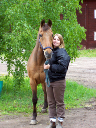Bellman x, valack brun född 1977 (e. Rebel Fortuna – u. Lisshan x).