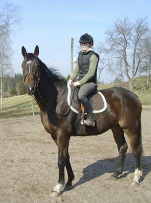 Bombay x, brun valack född 2005 (e. Business x – ue. Golden Profit xx), mkh: 170 cm. Uppfödare: Git Ingemarsson, Vetlanda, Småland.