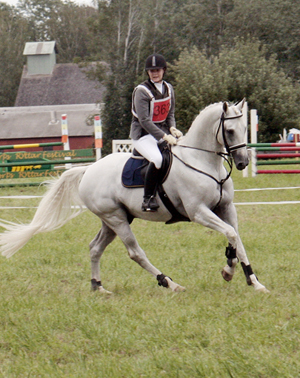 Anglohingsten Business (29,01% ox), född 1996 (e. Stubin x), mkh: 167 cm. Premierad AB för angloavel i Sverige. Godkänd i Oldenburger Verband. Ryttare: Alicia Holmén. Foto: Anki Lundberg, Mantorp, 15 augusti 2009.