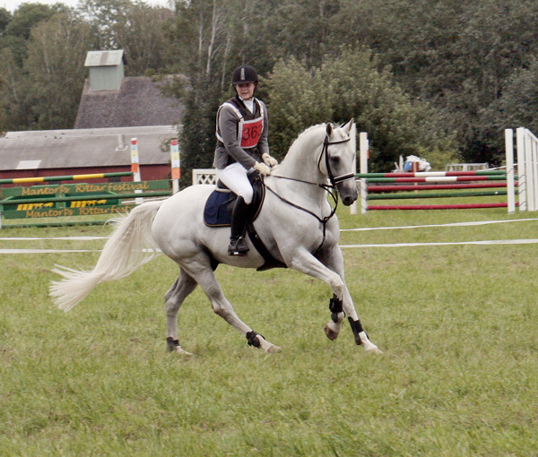 Anglohingsten Business (29,01% ox), född 1996 (e. Stubin x), mkh: 167 cm. Premierad AB för angloavel i Sverige. Godkänd i Oldenburger Verband. Ryttare: Alicia Holmén. Foto: Anki Lundberg, Mantorp, 15 augusti 2009.