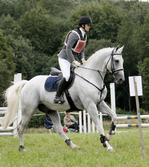 Anglohingsten Business (29,01% ox), född 1996 (e. Stubin x), mkh: 167 cm. Premierad AB för angloavel i Sverige. Godkänd i Oldenburger Verband. Ryttare: Alicia Holmén. Foto: Anki Lundberg, Mantorp, 15 augusti 2009.