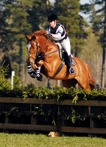 Buzzy H x f. 2004 e. Business u. Hägnens Eurudike ue. King's Bonus xx. Ägare Rebecca Persson. Uppfödare Pia Jorunger. Foto Agnes Bilberg.