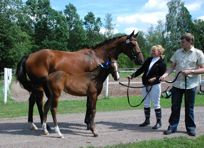 Ronja x med fl Carissa e Cartier