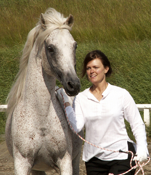El Primero ox, hingst flugskimmel född 1986 (e. Primo – u. Kareefah e. Zareef DE). El Primero tilldelades 86 poäng och blev andraplacerad i klassen för hingstar 8 år och äldre på Nationell C-show i Umeå 2006. Uppfödare: Valla Arabhästar. Ägare: Emelie Sellin.