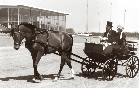 Elcatero ox (e. Eldorado – ue. Grojor) och Stig Troedsson och Katarina Törngård på Kalmartravet. Foto: Camilla Biel. Klicka här för att komma till Tjust Araber.