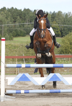 Epoxy x (50 % ox), valack brun (e. Bayard ox – ue. Slabang xx) och Alexandra Hadin på DM för Uppland, Heby den 30 augusti 2008. Hadin tävlar för Tierps RK. Epoxy har placeringar i 1,10-klasser. År 2006 deltog ekipaget i Division II:s lagtävling i hoppning. Tierps RK vann serien före Enköpings RK och Uppsala PK kom på tredje plats. Alexandra Hadin/Epoxy ingick i laget som vann. Foto: Camilla Björklund.