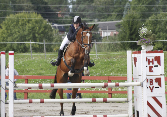 Epoxy x (50 % ox), valack brun (e. Bayard ox – ue. Slabang xx) och Alexandra Hadin på DM för Uppland, Heby den 30 augusti 2008. Hadin tävlar för Tierps RK. Epoxy har placeringar i 1,10-klasser. År 2006 deltog ekipaget i Division II:s lagtävling i hoppning. Tierps RK vann serien före Enköpings RK och Uppsala PK kom på tredje plats. Alexandra Hadin/Epoxy ingick i laget som vann. Foto: Camilla Björklund.