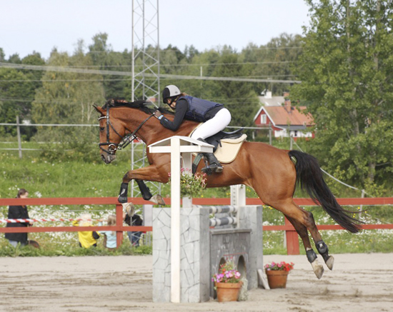 Epoxy x (50 % ox), valack brun (e. Bayard ox – ue. Slabang xx) och Alexandra Hadin på DM för Uppland, Heby den 30 augusti 2008. Hadin tävlar för Tierps RK. Epoxy har placeringar i 1,10-klasser. År 2006 deltog ekipaget i Division II:s lagtävling i hoppning. Tierps RK vann serien före Enköpings RK och Uppsala PK kom på tredje plats. Alexandra Hadin/Epoxy ingick i laget som vann. Foto: Camilla Björklund.