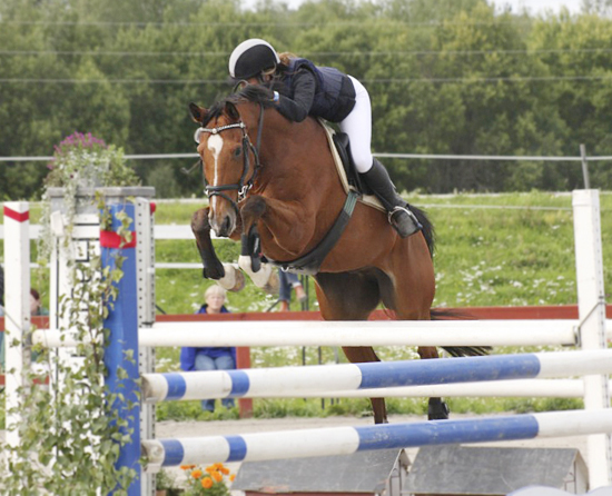 Epoxy x (50 % ox), valack brun (e. Bayard ox – ue. Slabang xx) och Alexandra Hadin på DM för Uppland, Heby den 30 augusti 2008. Hadin tävlar för Tierps RK. Epoxy har placeringar i 1,10-klasser. År 2006 deltog ekipaget i Division II:s lagtävling i hoppning. Tierps RK vann serien före Enköpings RK och Uppsala PK kom på tredje plats. Alexandra Hadin/Epoxy ingick i laget som vann. Foto: Camilla Björklund.