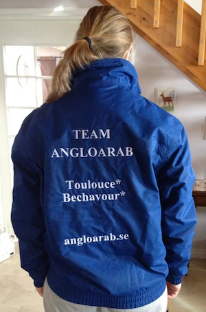 Föreningsjacka, Team Angloarab Bild föreningsjacka