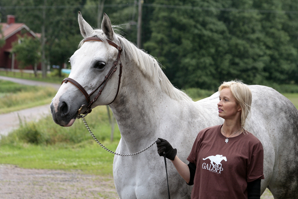 Jodie x (25 % ox), sto skimmel född 1998 (e. Blue Grenadier 818 GB – u. Jolene x e. Pargos ox). Uppfödare och ägare: Gudrun Gustavson, Ljungsbro, Östergötland. Vid ledtygeln: Anki Lundberg. Foto: Kenth Konradsson, 12 juli 2009.