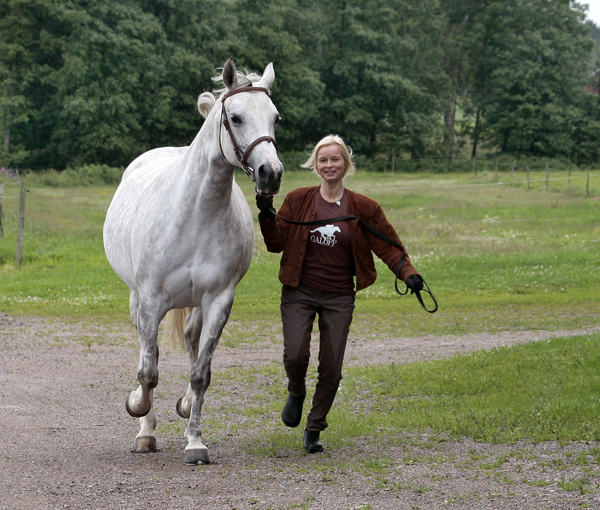 Jodie x (25 % ox), sto skimmel född 1998 (e. Blue Grenadier 818 GB – u. Jolene x e. Pargos ox). Uppfödare och ägare: Gudrun Gustavson, Ljungsbro, Östergötland. Vid ledtygeln: Anki Lundberg. Foto: Kenth Konradsson, 12 juli 2009.