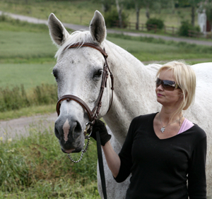 Jolene x (50 % ox), sto skimmel född 1983 (e. Pargos ox – u. Miss Forsyte xx  e. Pan DEN). Uppfödare: Charlotta Liljefors, Munga Stuteri. Ägare: Gudrun Gustavson, Ljungsbro, Östergötland.  Vid ledtygeln: Anki Lundberg. Jolene har lämnat avkomman Jodie (25 % ox) född 1998 (e. Blue Granadier xx 818 GB). Foto: Kenth Konradsson, juli 2009.