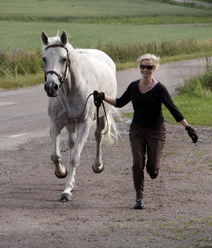 Jolene x (50 % ox), sto skimmel född 1983 (e. Pargos ox – u. Miss Forsyte xx e. Pan DEN). Uppfödare: Charlotta Liljefors, Munga Stuteri. Ägare: Gudrun Gustavson, Ljungsbro, Östergötland. Vid ledtygeln: Anki Lundberg. Jolene har lämnat avkomman Jodie (25 % ox) född 1998 (e. Blue Granadier xx 818 GB). Foto: Kenth Konradsson, juli 2009.