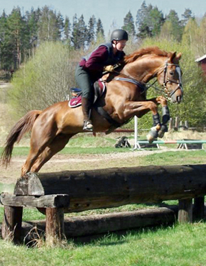 Kalinka des Carrières x (41.54 % ox) sto, fux född 1998, import Frankrike, mkh: 168 cm, e. Centaure du Barbe x – u. Fee de La Palisse x e. Feticheur x. Ryttare: Louise Lamoureux. Uppfödare: Lionel Bailleul i Madiran, Frankrike.