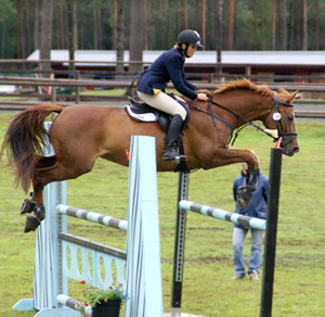 Kalinka des Carrières x (41.54 % ox) sto, fux född 1998, import Frankrike, mkh: 168 cm, e. Centaure du Barbe x – u. Fee de La Palisse x e. Feticheur x. Ryttare: Lisa Henriksson. Ekipaget har placeringar i 1,30- och 1,35-hoppning på nationell nivå. De debuterade i 1,40-hoppning under 2007.