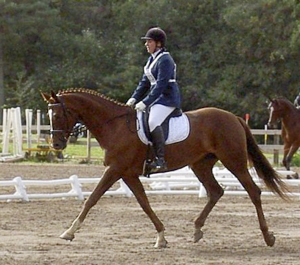 Kalinka des Carrières x (41.54 % ox) sto, fux född 1998, import Frankrike, mkh: 168 cm, e. Centaure du Barbe x – u. Fee de La Palisse x e. Feticheur x. Ryttare: Louise Lamoureux. Uppfödare: Lionel Bailleul i Madiran, Frankrike.