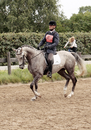 Fälttävlan i Mantorp, 15–16 augusti 2009: Kon-Tiki x har den 16 augusti 2009 på 90-fälttävlan i Mantorp med Johan Lundin som ryttare kvalat till Breeders Trophy i fälttävlan på Plönningegymnasiet den 5–6 september 2009. Kon-Tiki x (64,505 % ox), skimmel sto född 2004 (e. Business x – u. Geili ox e. Dworak). Foto: Anki Lundberg.