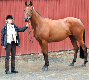 Milagra de Sotto (50 % ox), sto brun född 2003, (e. Milagro ox – u. Sotto Voce xx e. Talinum xx). Milagra de Sotto fick föl med Eighty Eight Keys xx 2007, Mayflower x. Uppfödare till Mayflower är Åsa Blom, Växjö. På bilden ses Milagra de Sotto x och Åsa Blom på Elmia 2006. Stoet ägs av Sofia Lindwall-Ek.