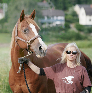 Anki Lundberg och Miss Pride x (50 % ox), sto fux (e. Eldorado ox 831 – u. Miss Keegan x e. Samedi DEN). Uppfödare: Stig Troedsson. Ägare: Louice Troedsson. Bedömd på stopremiering i Kalmar och erhålligt klass I. Foto: Kenth Konradsson, 30 juni 2009, Gamleby, Småland.