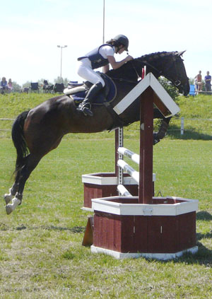 Royal Chateau x (26,63 %), valack mörkbrun född 2001, (e. Shiva du Loup x FR – u. Royal Charisma x e. Shaftesbury xx 810) i Enköping, 2008. Royal Chateau tävlar lätt klass i hoppning och han har startat en 140-hoppning. Valacken är framavlad på fryst semin. Foto: Camilla Björklund.
