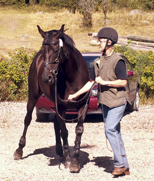 Eva Drake och Royal Secret x (50 % ox), sto e. Wilbur ox – ue. Columbian Friend xx. Foto: Anki Lundberg