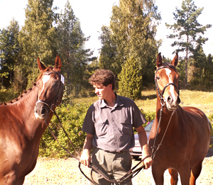 Anglostona Sahara (e. Sizzling Saga xx ) och Born To Be Bright (e. Elcatero ox) har lämnat anglo-avkommorna Stornäs Kalahari (e. Kilroy x) respektive Stornäs Miqrona (e. San Quintero xx). Mellan hästarna ses Stefan Karlsson.