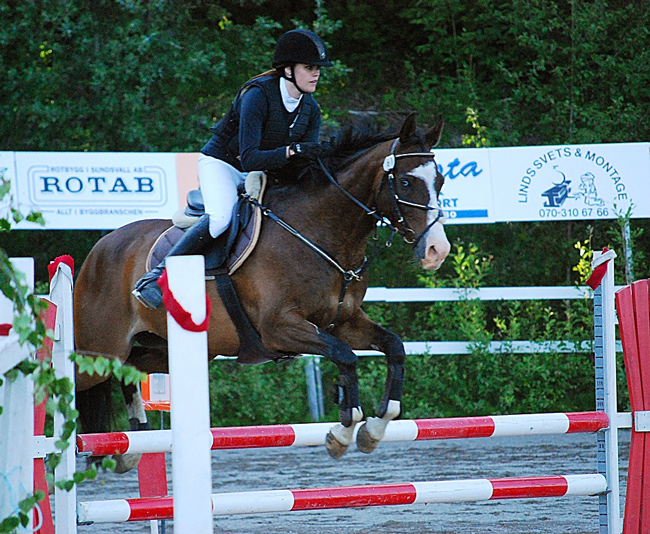 Strong Shakiro x (25 % ox), valack brun född 2002 (e. Strong Statement xx – u. Belle Shafai x e. Shaftesbury xx). Ryttare: Emelie Löfström. Uppfödare: Catherine Löfström.