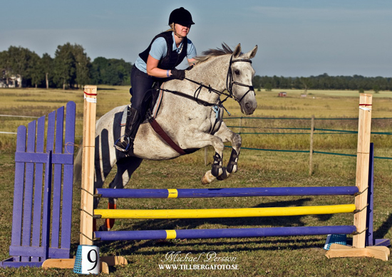 Tantiéme, sto f. 1996 e. Espoir de l'Alaric u. Tabaska Barn. Ägare Therese Björklund, ryttare Camilla Björklund. Foto Michael Persson.