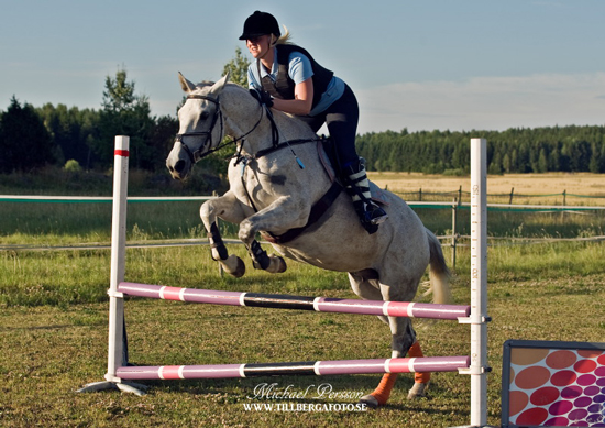 Tantiéme, sto f. 1996 e. Espoir de l'Alaric u. Tabaska Barn. Ägare Therese Björklund, ryttare Camilla Björklund. Foto Michael Persson.