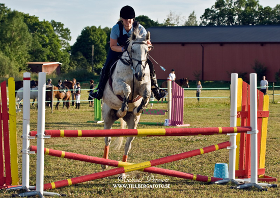 Tantiéme, sto f. 1996 e. Espoir de l'Alaric u. Tabaska Barn. Ägare Therese Björklund, ryttare Camilla Björklund. Foto Michael Persson.