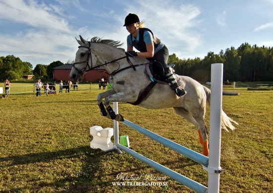Tantiéme, sto f. 1996 e. Espoir de l'Alaric u. Tabaska Barn. Ägare Therese Björklund, ryttare Camilla Björklund. Foto Michael Persson.