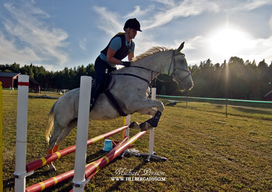Tantiéme, sto f. 1996 e. Espoir de l'Alaric u. Tabaska Barn. Ägare Therese Björklund, ryttare Camilla Björklund. Foto Michael Persson.
