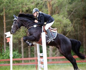 Vicky Hansen och Zalmiyac i maj 2008. Zalmiyac x (25 % ox), svart hingst född 2002 (e. Come Fast xx – u. Rebecca x e. Danser ox). Ekipaget tävlar i 120-hoppning. Zalmiyac är den första angloaraben i Sverige som tilldelats 10 poäng för sin typ. Poängen fick han på Angloriks 2008 i Halmstad. Hingsten exteriörbedömdes där med totalpoängen 46, klass I. Uppfödare: Lena Bengtsson, Stensnäs Anglostuteri, Bor, småland. Foto: Christian Dirksen.
