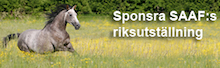 Sponsra Angloriks!